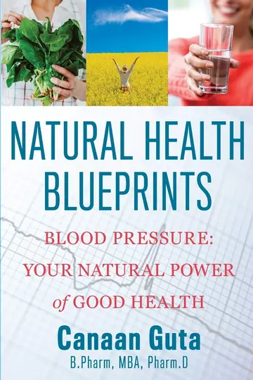 Cover of Natural Health Blueprints