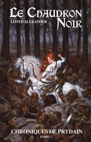 Cover of Les chroniques de prydain - tome 2 - le chaudron noir