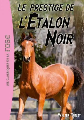 Cover of L'Etalon Noir 8