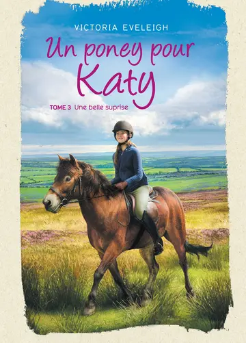 Cover of Un poney pour katy - tome 3 - une belle surprise