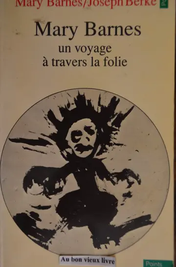 Cover of Un Voyage a Travers La Folie