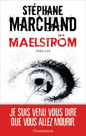 Cover of Maelstrom