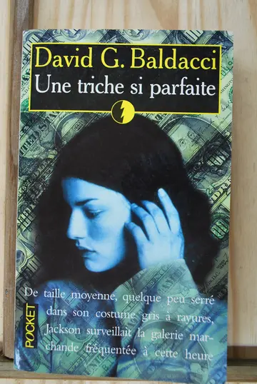 Cover of Une triche si parfaite