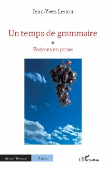 Cover of Un temps de grammaire