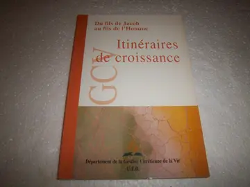 Cover of Itinéraires de croissance