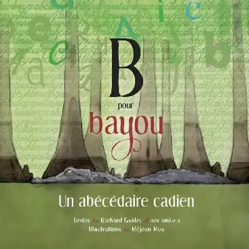 Cover of B pour Bayou