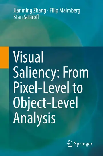 Cover of Visual Saliency