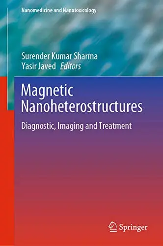 Cover of Magnetic Nanoheterostructures