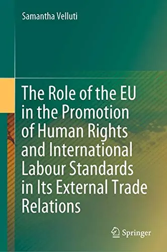 Cover of The Role of the EU in the Promotion of Human Rights and International Labour Standards in Its External Trade Relations