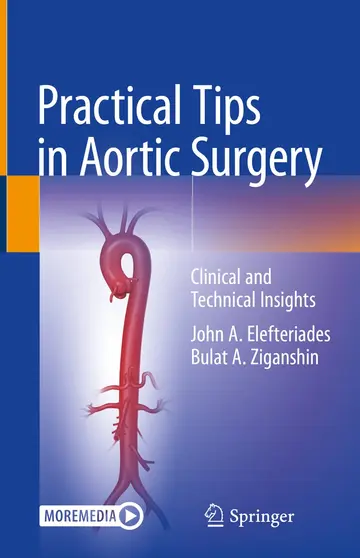 Cover of Practical Tips in Aortic Surgery