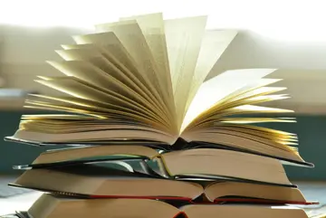 Cover of Exploring the Interface Between Individual Difference Variables and the Knowledge of Second Language Grammar