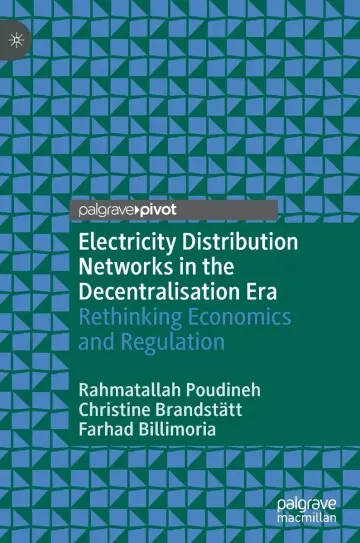 Cover of Electricity Distribution Networks in the Decentralisation Era