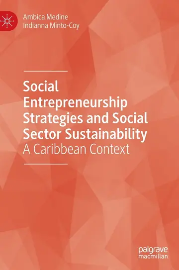 Cover of Social Entrepreneurship Strategies and Social Sector Sustainability