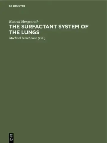 Cover of The Surfactant System of the Lungs