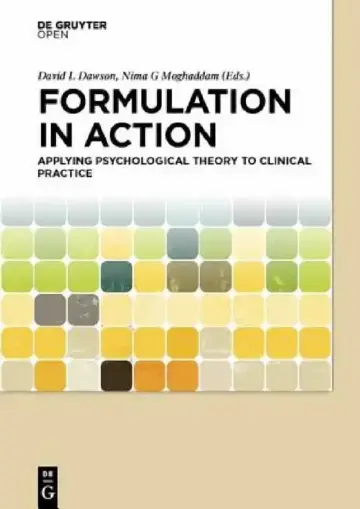 Cover of Formulation in Action