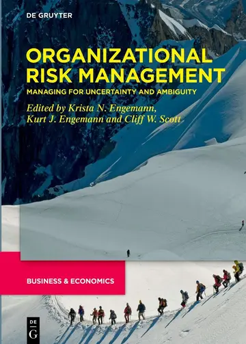 Cover of Organizational Risk Management