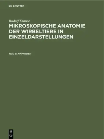Cover of Amphibien