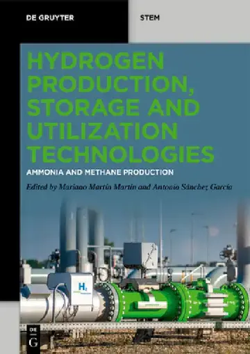 Cover of Hydrogen Production, Storage and Utilization Technologies