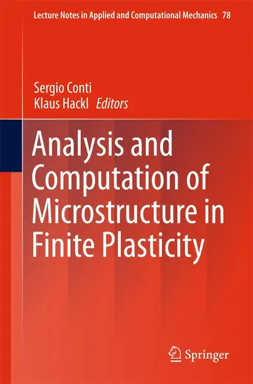 Cover of Analysis and Computation of Microstructure in Finite Plasticity