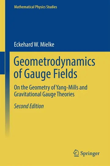 Cover of Geometrodynamics of Gauge Fields
