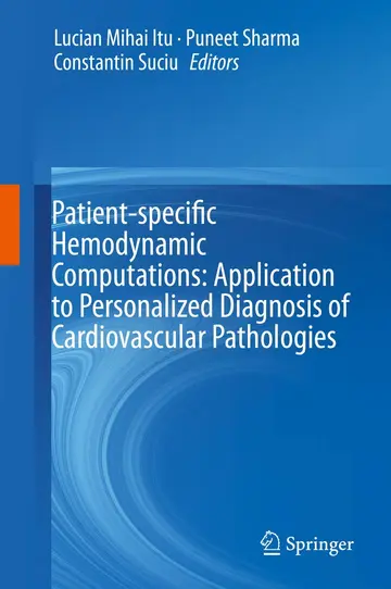 Cover of Patient-specific Hemodynamic Computations