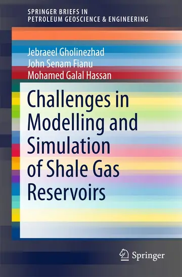 Cover of Challenges in Modelling and Simulation of Shale Gas Reservoirs