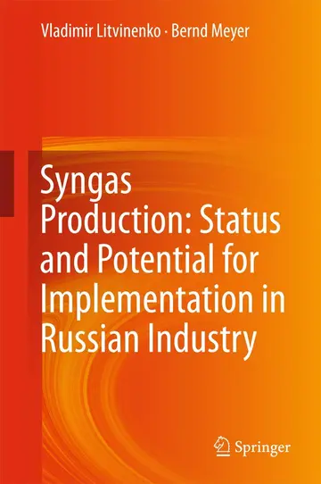 Cover of Syngas Production