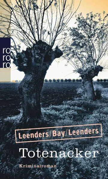Cover of Totenacker