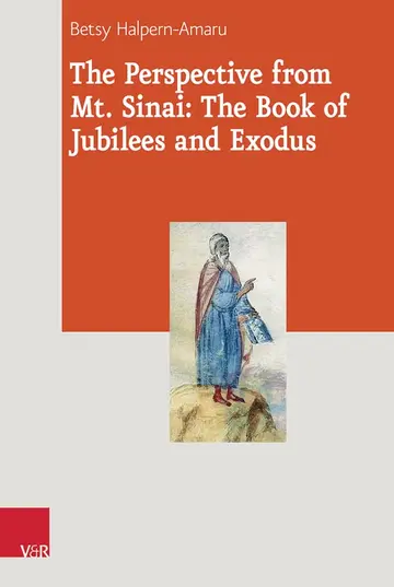 Cover of The Perspective from Mt. Sinai