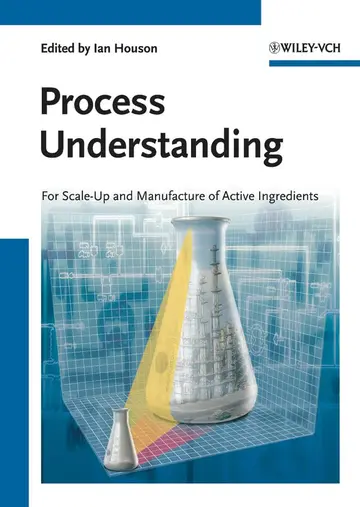 Cover of Process Understanding