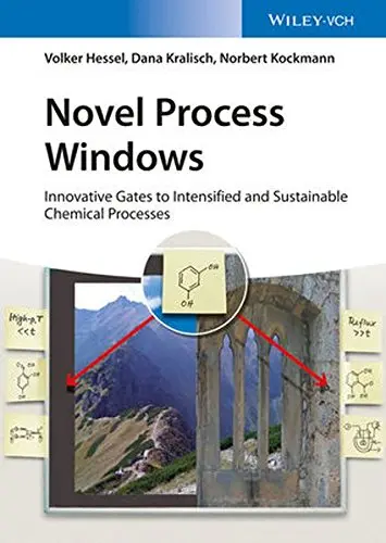 Cover of Novel Process Windows