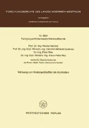 Cover of Wirkung Von Kreislaufstoffen Im Hochofen