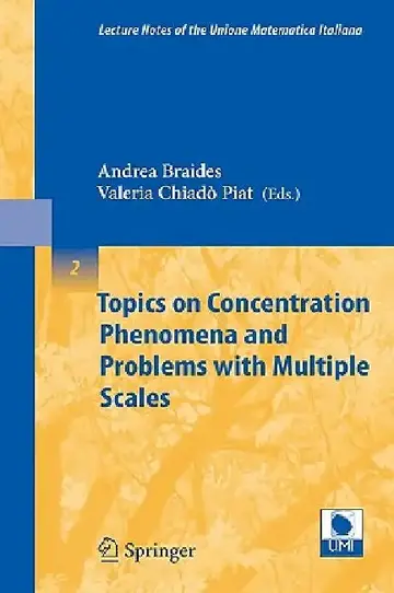 Cover of Topics on Concentration Phenomena and Problems with Multiple Scales