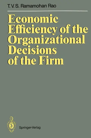 Cover of Economic Efficiency of the Organizational Decisions of the Firm