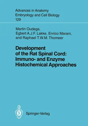 Cover of Development of the Rat Spinal Cord
