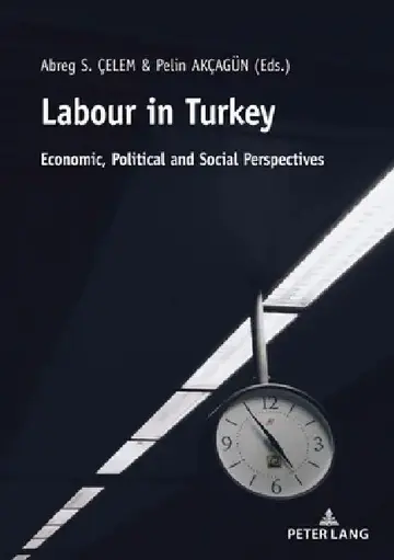Cover of Labour in Turkey