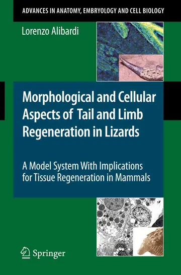 Cover of Morphological and Cellular Aspects of Tail and Limb Regeneration in Lizard