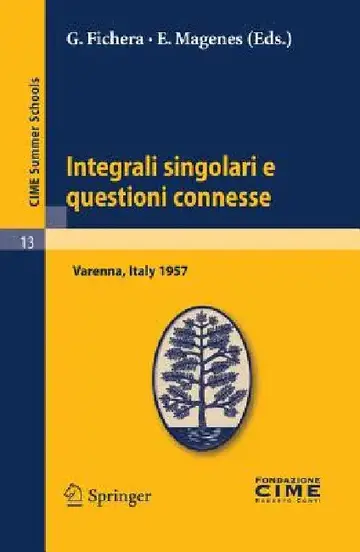 Cover of Integrali Singolari E Questioni Connesse