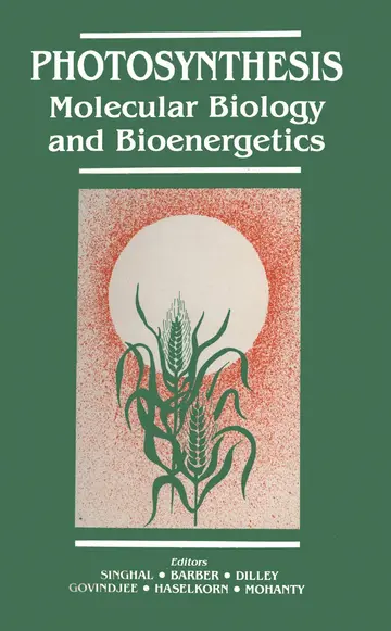 Cover of Photosynthesis