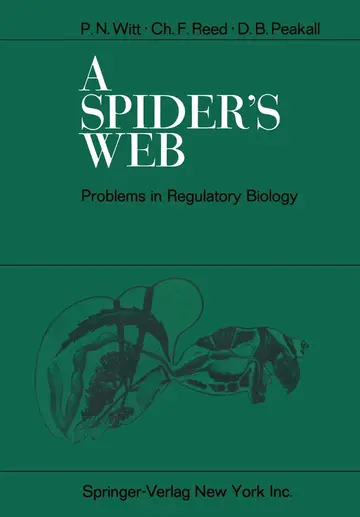 Cover of A Spider's Web