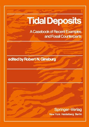 Cover of Tidal Deposits