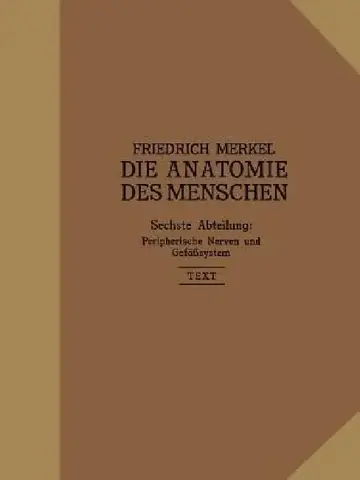 Cover of Peripherische Nerven, Gefäßsystem