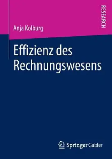 Cover of Effizienz Des Rechnungswesens