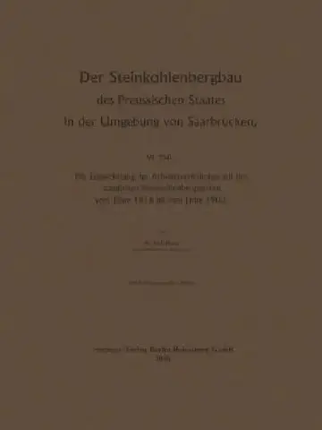 Cover of Der Steinkohlenbergbau Des Preussischen Staates in Der Umgebung Von Saarbrücken