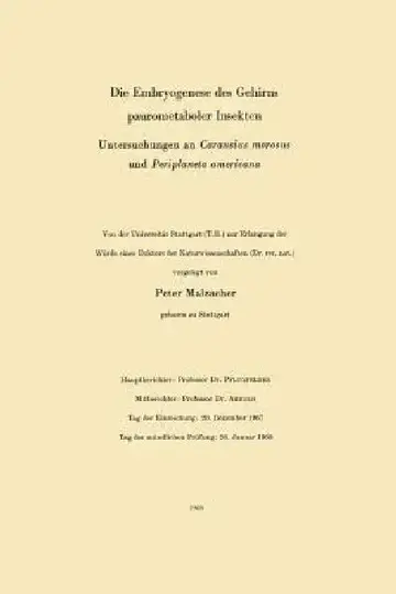 Cover of Die Embryogenese Des Gehirns Paurometaboler Insekten