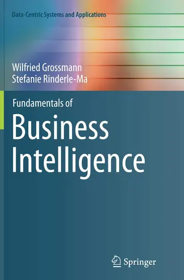 Cover of Fundamentals of Business Intelligence