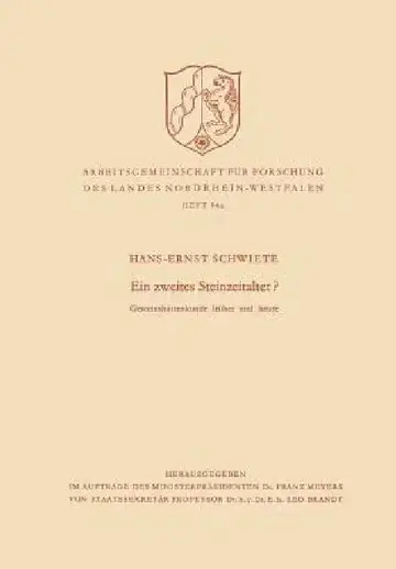 Cover of Ein Zweites Steinzeitalter?