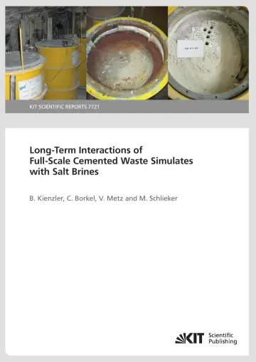 Cover of Long-Term Interactions of Full-Scale Cemented Waste Simulates with Salt Brines