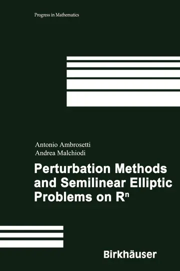 Cover of Perturbation Methods and Semilinear Elliptic Problems on R^N (Hb 2006)