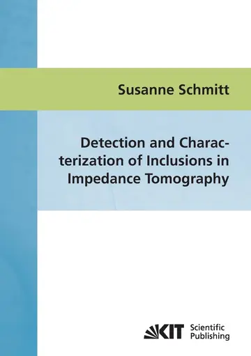 Cover of Detection and characterization of inclusions in impedance tomography